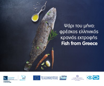 ΕΛΛΗΝΙΚΗ ΟΡΓΑΝΩΣΗ ΠΑΡΑΓΩΓΩΝ ΥΔΑΤΟΚΑΛΛΙΕΡΓΕΙΑΣ (ΕΛΟΠΥ) 