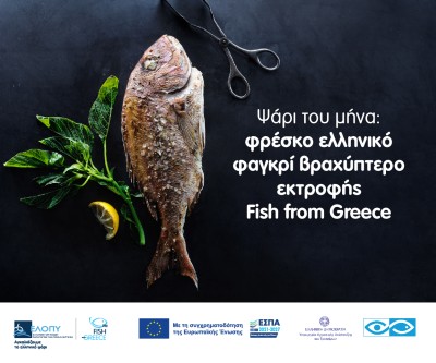 ΕΛΛΗΝΙΚΗ ΟΡΓΑΝΩΣΗ ΠΑΡΑΓΩΓΩΝ ΥΔΑΤΟΚΑΛΛΙΕΡΓΕΙΑΣ (ΕΛΟΠΥ) 