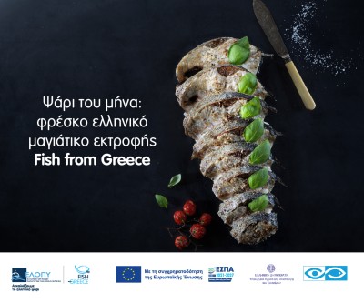 ΕΛΛΗΝΙΚΗ ΟΡΓΑΝΩΣΗ ΠΑΡΑΓΩΓΩΝ ΥΔΑΤΟΚΑΛΛΙΕΡΓΕΙΑΣ (ΕΛΟΠΥ) 