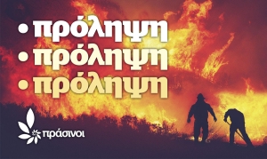 Πρόληψη – πρόληψη - πρόληψη: μια πρώτη αποτίμηση των Πράσινων για τις φετινές πυρκαγιές
