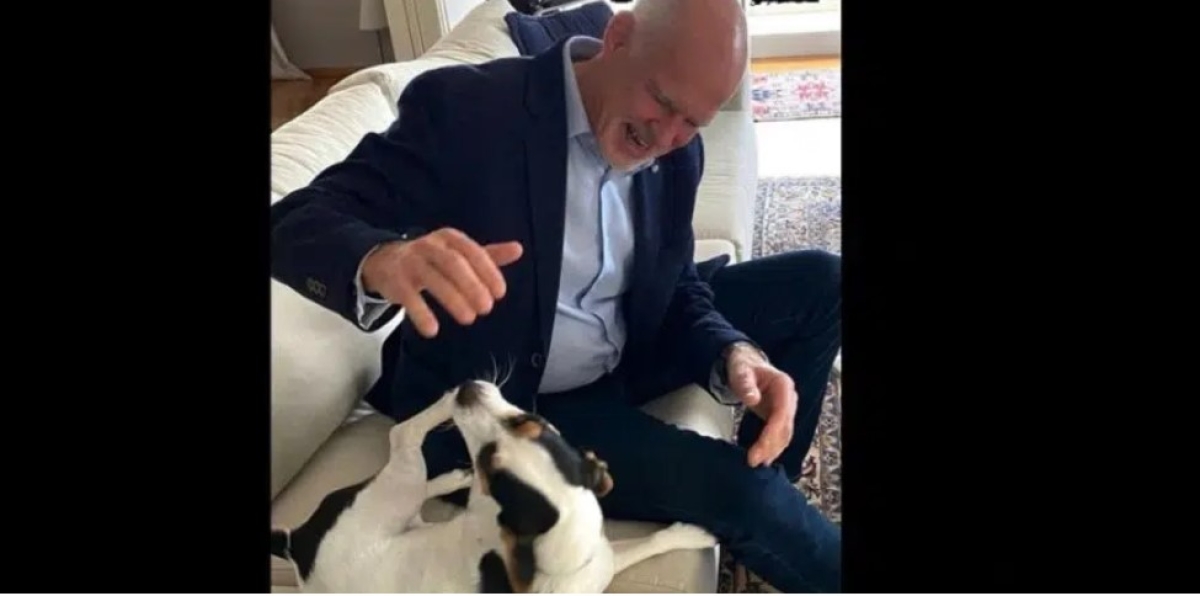 Ο Γιώργος Παπανδρέου ξεκινά την «αγωνιστική εβδομάδα» παίζοντας με το σκυλάκι του, την Τρέλα