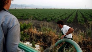 KKE: Τα πρόστιμα της ΕΕ να τα πληρώσουν όσοι έχουν πραγματική ευθύνη, όχι οι αγρότες