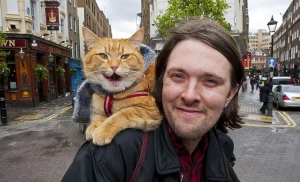 Ο γάτος που άλλαξε τη ζωή ενός άστεγου, χρήστη ναρκωτικών