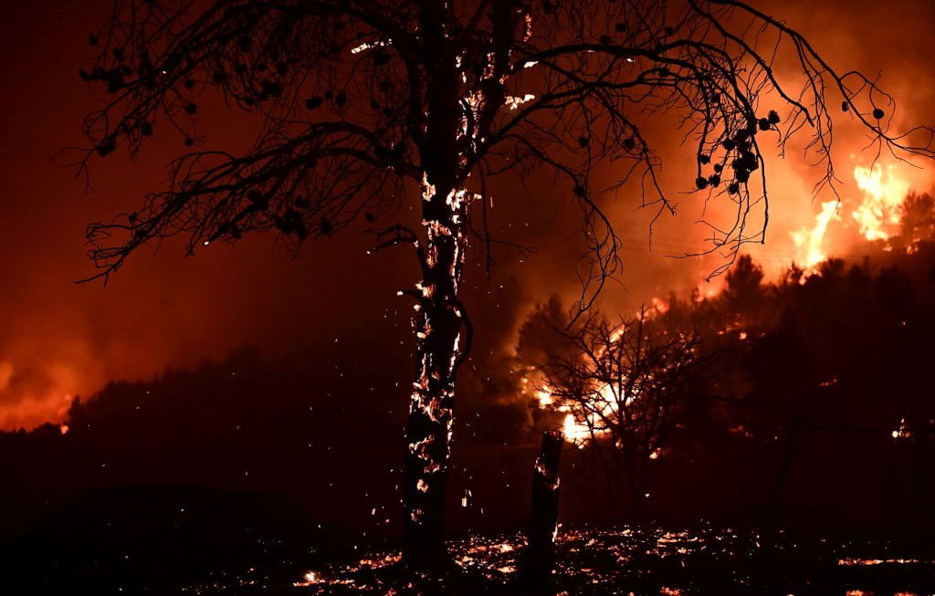 Από το 2019 έχουν καεί τα μισά δάση της Αττικής – Τον Απρίλιο η κυβέρνηση δήλωνε πλήρη… «ετοιμότητα»