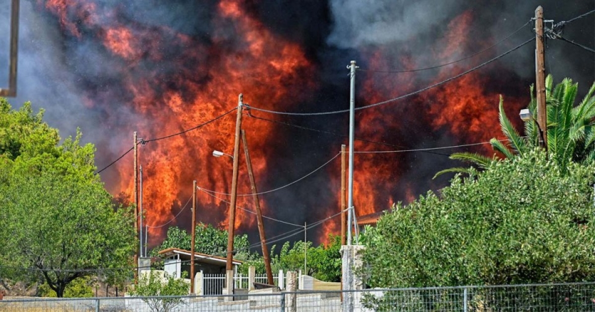 Πράσινοι: Από την καταστολή των πυρκαγιών σε μια νέα στρατηγική για τη ζωή