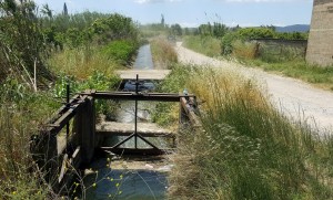 Ολοκληρώθηκαν οι Εκλογικές διαδικασίες του ΤΟΕΒ Καλυβίων – Ανάδειξη νέου Δ.Σ.