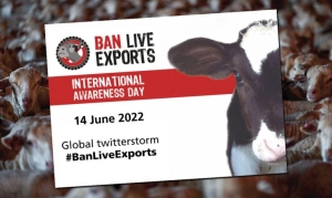 Ban Live Exports: Stop στους βασανισμούς και τον θάνατο χιλιάδων ζώων κατά τις μεταφορές.  Έκκληση των Πράσινων προς τον Υπουργό Αγροτικής Ανάπτυξης