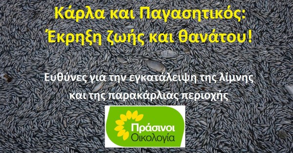 ΠΡΑΣΙΝΟΙ - ΟΙΚΟΛΟΓΙΑ: Κάρλα και Παγασητικός: Έκρηξη ζωής και θανάτου!