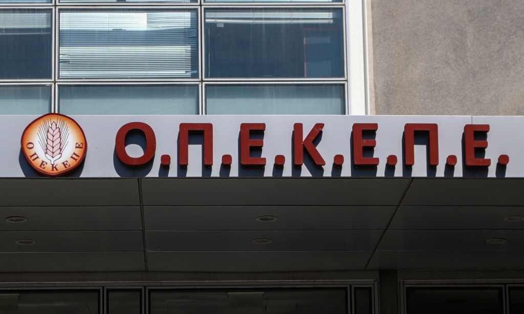 ΟΠΕΚΕΠΕ – Επιχείρηση «Θερισμός»: Το ελληνικό FBI αποκάλυψε πέντε σπείρες με 1.151 κατηγορούμενους και λεία πάνω από 17 εκατ. ευρώ