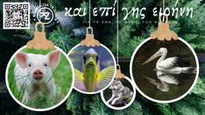 Κόμμα για τα Ζώα: Ευχές σε αναίμακτο χριστουγεννιάτικο τραπέζι