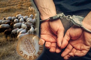 Χειροπέδες σε κτηνοτρόφο στη Φλώρινα: Πρώτη σύλληψη για παράνομες επιδοτήσεις ΟΠΕΚΕΠΕ